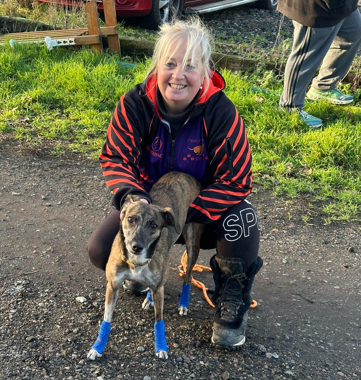 Canine Walks and Wellness logo